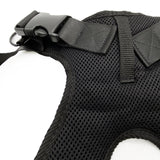 Cinturón De Seguridad Silla De Rueda Básica