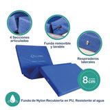Cama Clinica Elect 5 Pos Dlux + Colchon 8 cm + Antiescaras